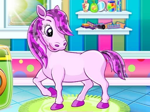 Pony Pet Salon